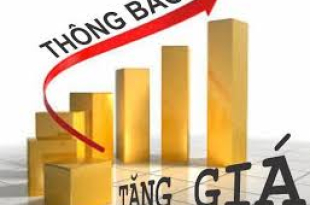 gia-xang-dau-tang-vi-sao-gia-phu-tung-xe-may-cung-tang-manh